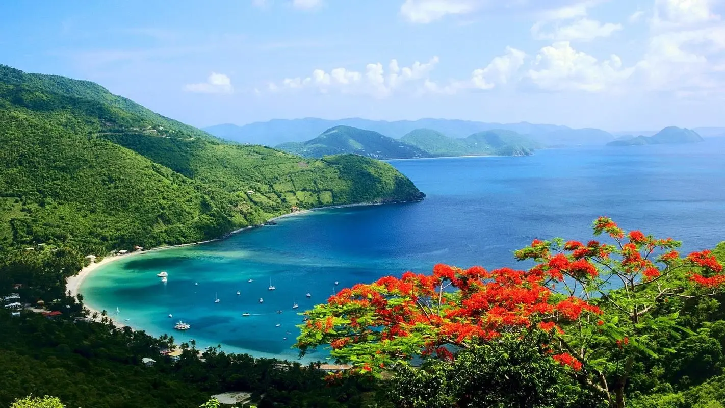 高性能高端